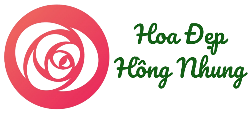 Hoa đẹp hồng nhung- shop hoa sáp Hà Nội uy tín