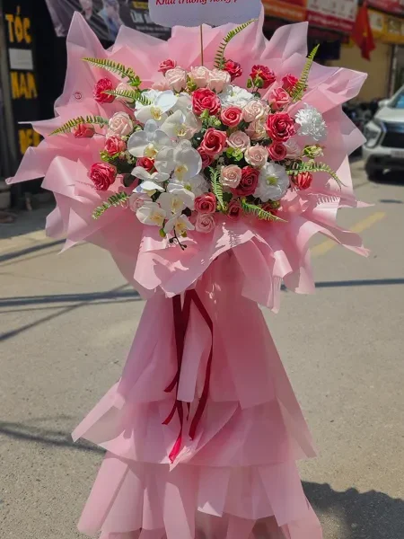 cây hoa sáp khai trương