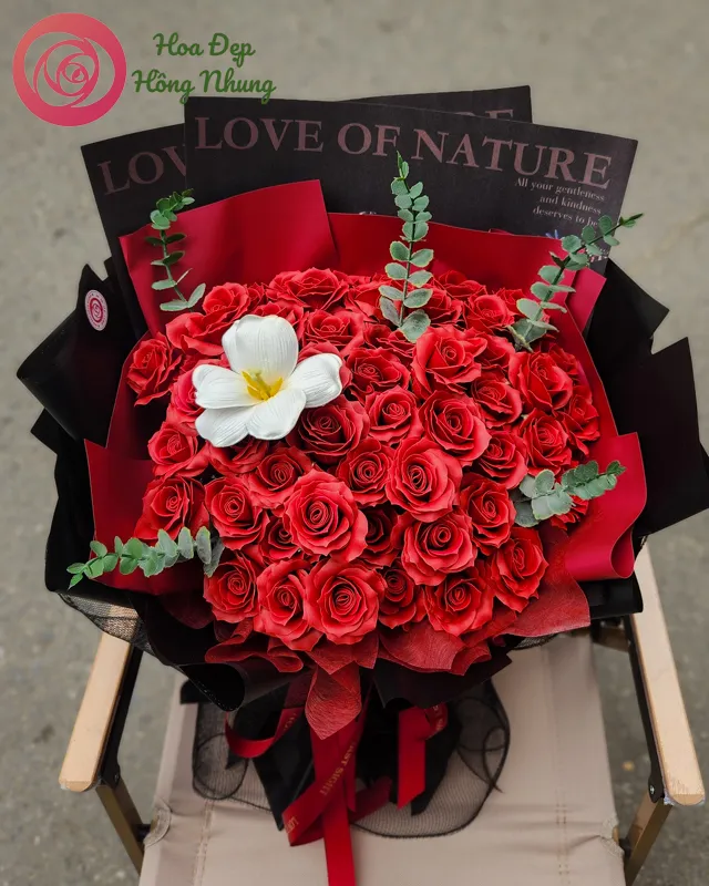 bo-hoa-sap-MS542-1_10_11zon