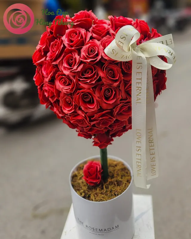 cay-hoa-sap-trai-tim-Ms539-1_14_11zon