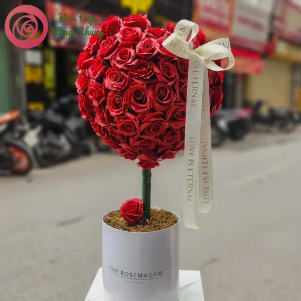 cây hoa sáp trái tim